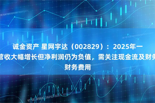 诚金资产 星网宇达（002829）：2025年一季度营收大幅增长但净利润仍为负值，需关注现金流及财务费用