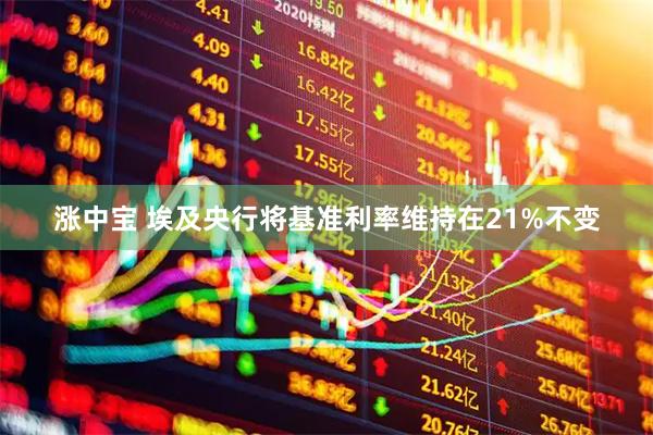 涨中宝 埃及央行将基准利率维持在21%不变