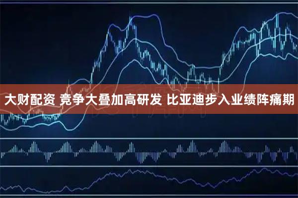 大财配资 竞争大叠加高研发 比亚迪步入业绩阵痛期