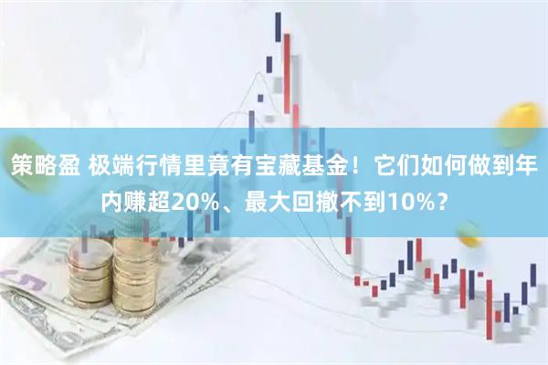 策略盈 极端行情里竟有宝藏基金！它们如何做到年内赚超20%、最大回撤不到10%？